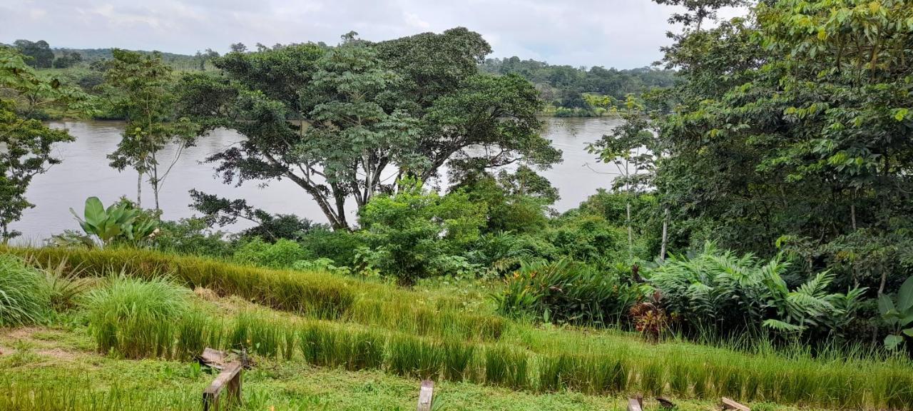 La Mariola - Finca Agroecologica El Castillo de La Concepción Exteriér fotografie