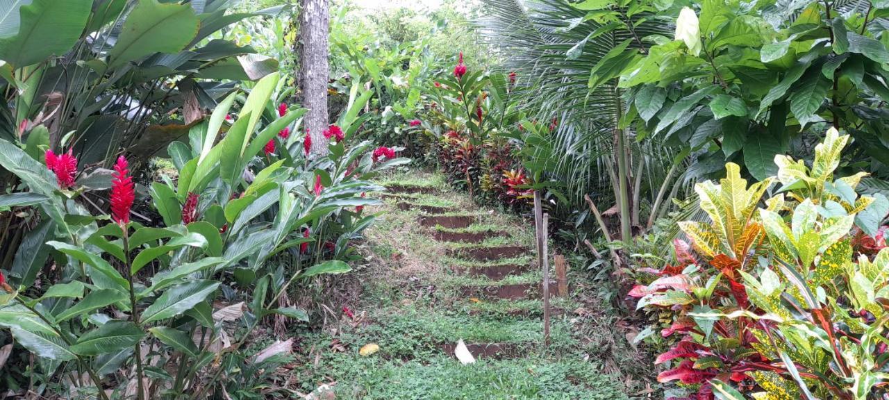 La Mariola - Finca Agroecologica El Castillo de La Concepción Exteriér fotografie